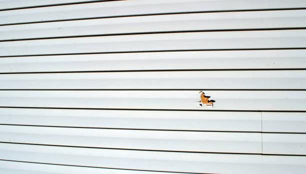 Reliable Parlier, CA Siding Installation & Repair Solutions